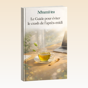 Ebook après-midi | 4,99€